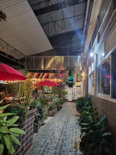 Libélula Hotel (Libelula Hotel) in Puerto Maldonado