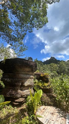 สวนหินธาราเขาแม่พันธุรัตน์โฮมสเตย์ & แคมปิ้ง กงหรา พัทลุง in Kong Ra