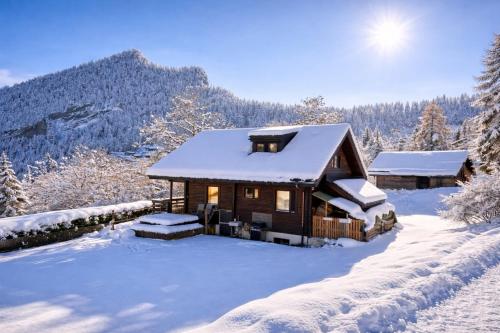 Chalet Ardoise - Nature Paradise - Swiss Alps