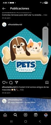 Instalaciones, El hostal de Uriel in Comalapa