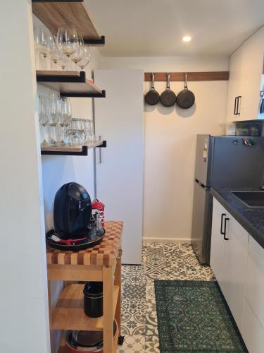 Warm and comfortable 2BR with SK and QB in West Dunedin