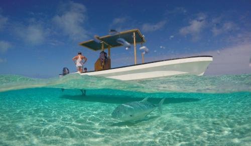 Közeli látványosságok, Matriki Beach Huts in Arutanga