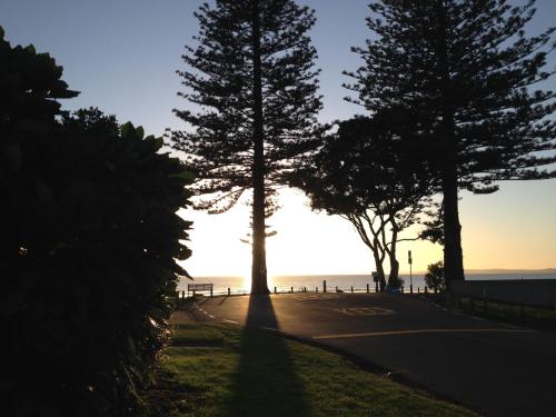 Orewa Beachside