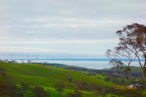 ทัศนียภาพ, Morella Farmstay in เคพ เจอร์วิส