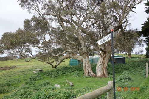 Morella Farmstay - 주변 환경