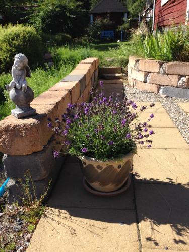 外部景觀, Olsbacka cottage in 法倫市中心