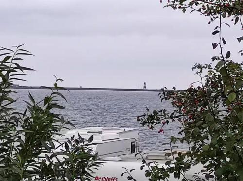 Tiny House Schlei - Schleimundeblick in Olpenitz