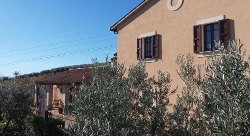 Tenuta Colverano - image 2