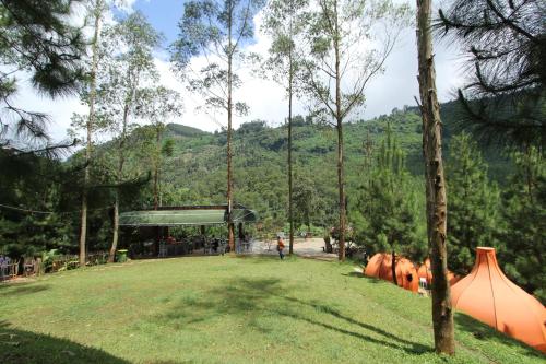 The Lodge Maribaya