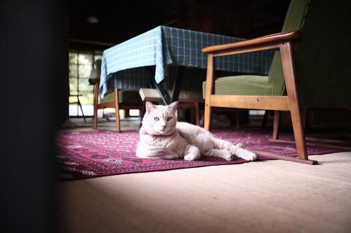 Maroya - Vacation STAY 16538