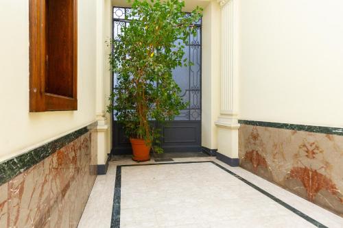 Little Oleandra - Central Turin, Турин (фото 3)