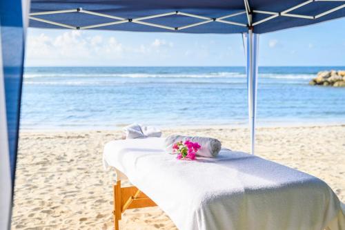 주변 환경, Village Pierre & Vacances Sainte Anne in 세인트 프란코이스