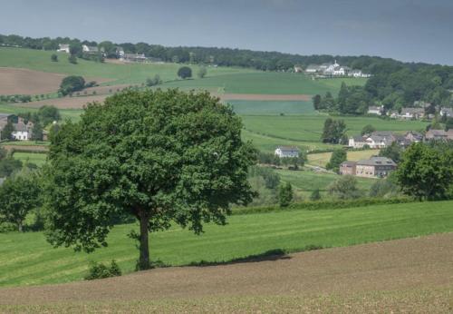 Vistas, Recreatieboerderij Tergracht - t Schob in Epen