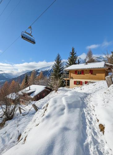 La Marmotte