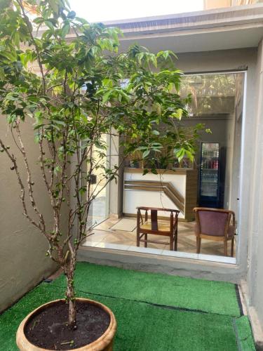 Hotel Prudente RP - image 4