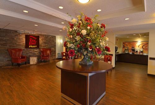 Red Roof Inn PLUS+ San Antonio Downtown - Riverwalk in San Antonio, USA