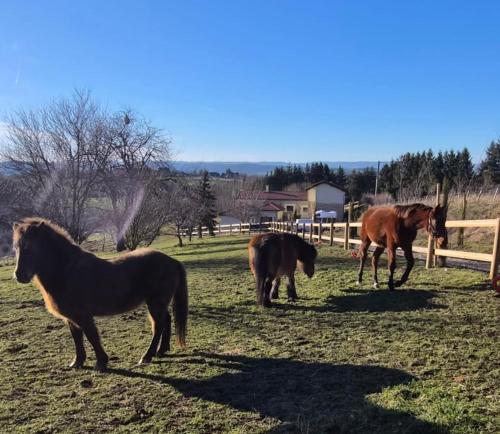 Le Domaine du Pialon in La Ricamarie