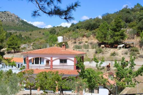 Casa Principal Finca Mas el Bravo in Caudiel