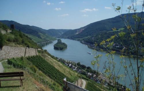 Weingut Theodor Nies