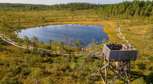 Nearby attraction, Fairy tales on the forest lake in Vavesaari