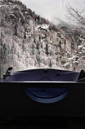 Deluxe Double Room with Jacuzzi and Mountain View