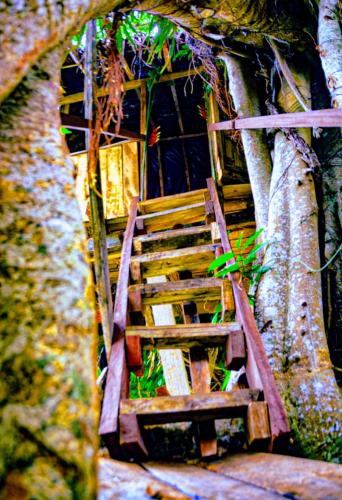 Horizon Tree House in Iapkapen