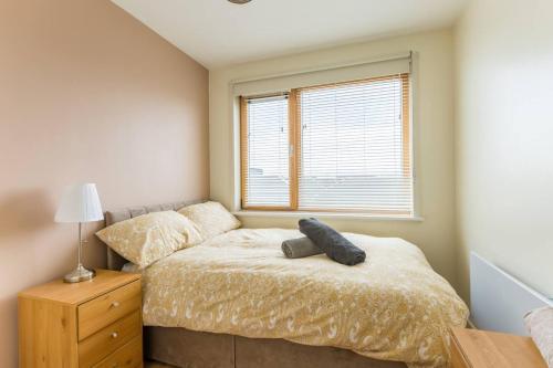 Stylish Central Dub Apt Aviva Stad Free Parking - image 2