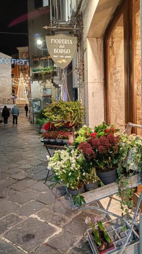 カンポバッソ Bilocale in Palazzo del XVI Secolo 3つ星 シングルルーム ロビー