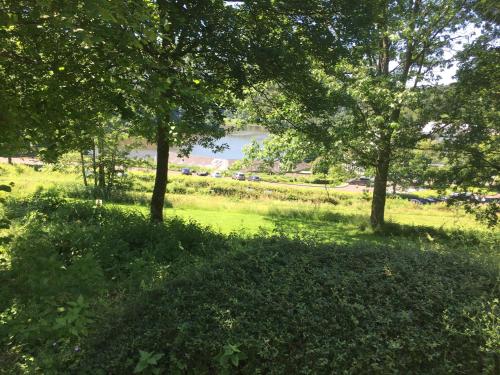 景觀, Ferienhaus Stausee Bitburg in 濱湖比爾斯多夫