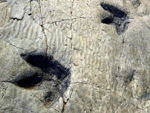  La Casa del Reloj in Enciso