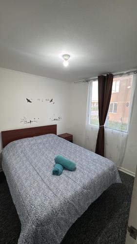 Lindo departamento completo Bosquemar