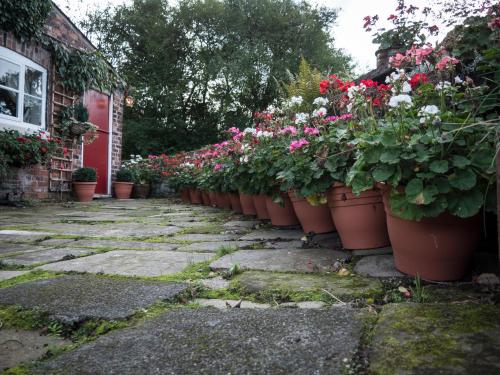 Ash Farm Country House - image 7
