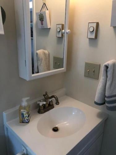 Morning Dove - Hidden Brookside Cottage in the Woods - Hot Tub - Fire Pit - Pet-Friendly - Seneca & Keuka Wine Trails - main image