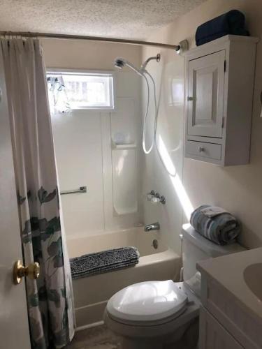 Morning Dove - Hidden Brookside Cottage in the Woods - Hot Tub - Fire Pit - Pet-Friendly - Seneca & Keuka Wine Trails - image 6