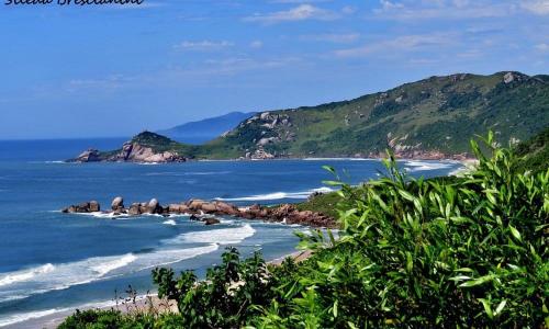 Casa Praia Mole in Mole Beach