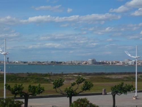 Appartement 2 pièces avec terrasse et garage à Port Camargue - FR-1-731-150