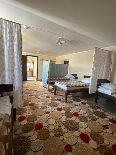 Snow Leopard Hostel in Karakol