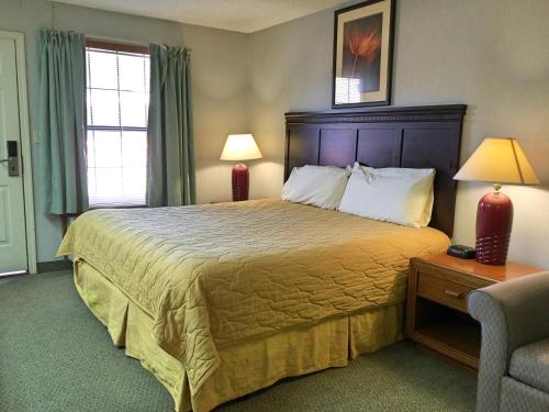 1 twin bed, 1 sofa bed