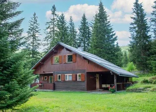 Almhütte Tamberger in der Feldpann-Alm in Rauth, Österreich
