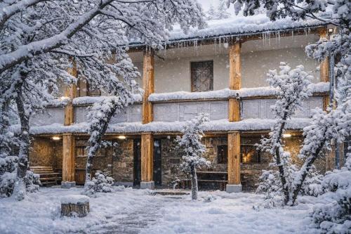 LorvaToon in Alaverdi