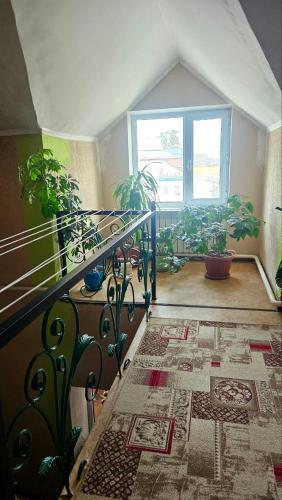 Snow Leopard Hostel in Karakol