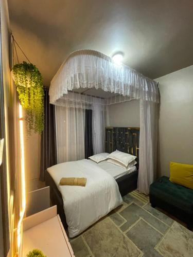 kingDavid homes - image 5