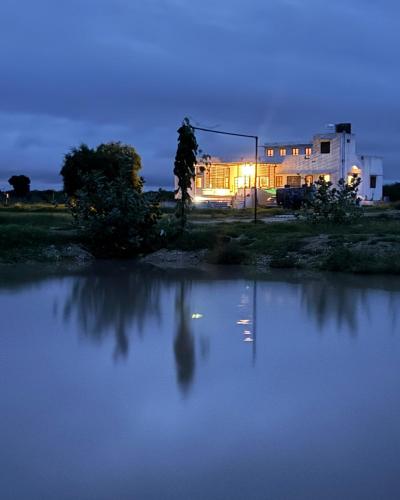 Dhora in Sojat