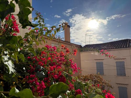BANYULS-SUR-MER, appartement T3, proche plage et commerces - FR-1-309-33