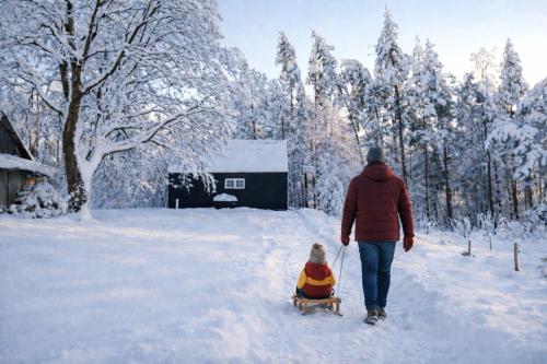Modern Sauna Cabin in Horse Ranch in Paukštakiai