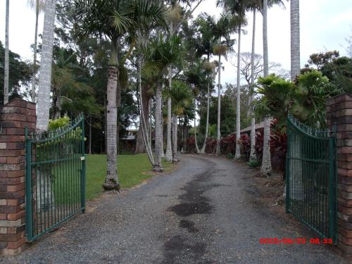 Exterior view of Emerald Tropical Palms B & B