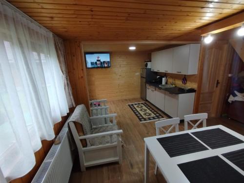 Cabana dintre vai Strungari in Sasciori