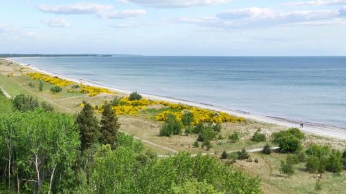 Iekārtas, Villavilla 509 - Marielyst, Lollandfalstermøn in Vaeggerlose