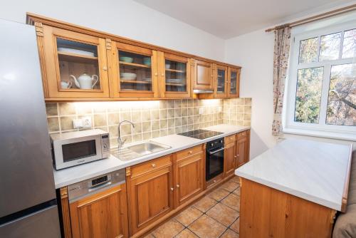 Kitchen, Apartman Cerny Dul in Cerny Dul