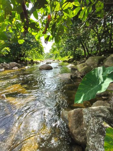 สถานีน้ำหวาน รีสอร์ท น้ำตกอ้ายเขียว in プロンキリ